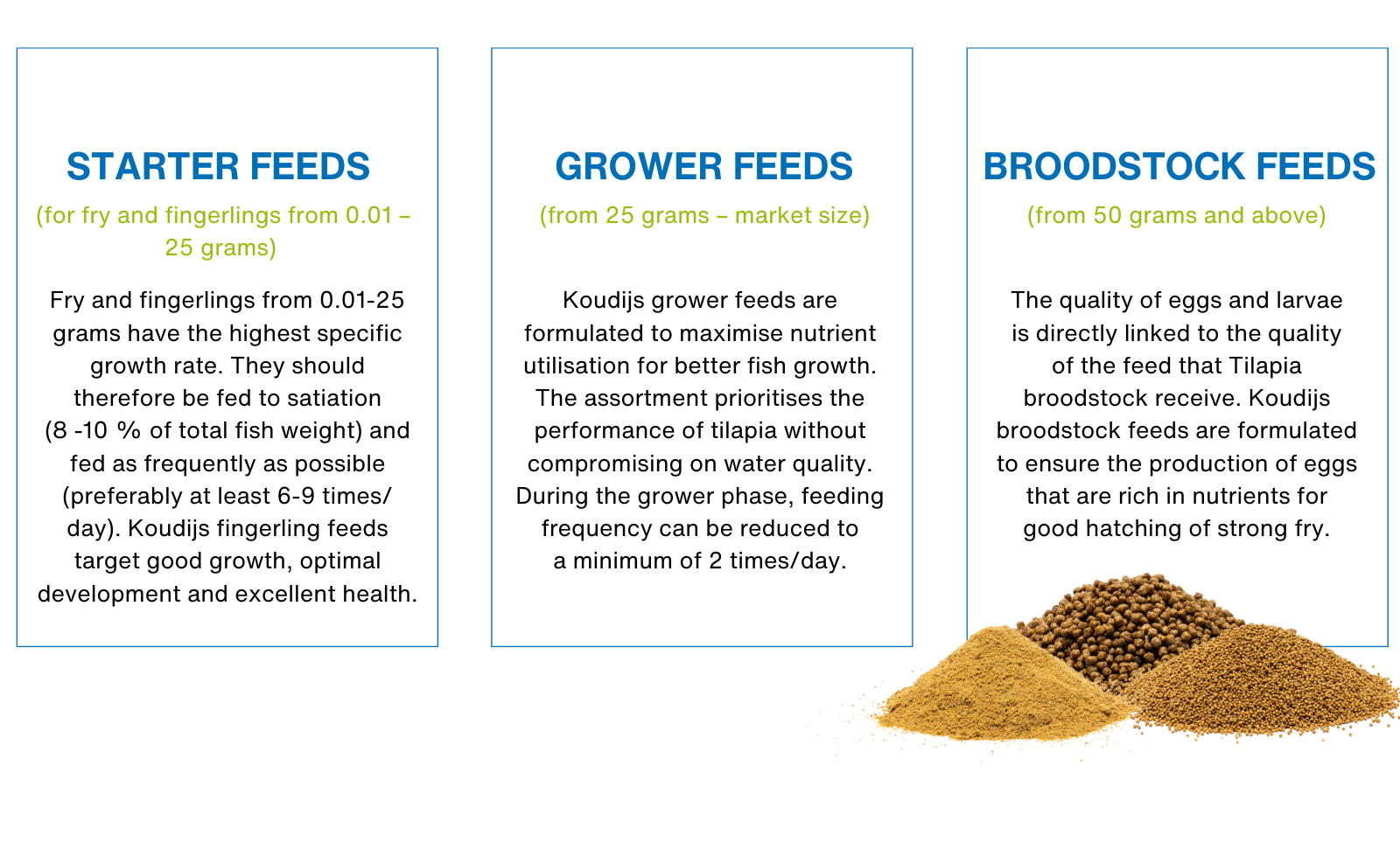 Tilapia Complete Feed